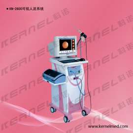 可是人流（KN-2600）