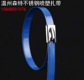 钢珠自锁式不锈钢扎带正品304精密不锈钢扎带