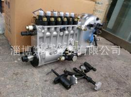 潍柴X6170发电机组喷油泵总成