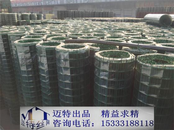 草坪围网 山地围网 圈地围网 养殖围网 荷兰网 绿色铁丝围网