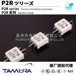 TAM田村水泥电阻器 P2R 2W 15A 中国区一级代理 TAM/田村熔断电阻器附温度保险丝