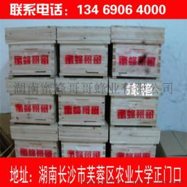 供应株洲长沙湘潭岳阳蜂箱批发销售价格