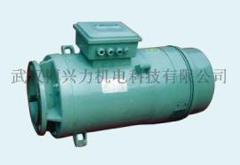 YTLVF（E)200L2-4起升电机