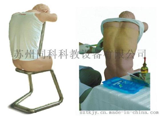 胸腔（背部）穿刺训练模型