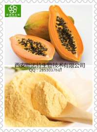  优质木瓜提取物 木瓜浸膏粉  木瓜粉 木瓜浓缩粉