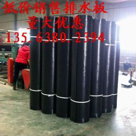 湖南塑料排水板+土工布 HDPE排水板价格低 品种全