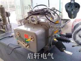 【10KV柱上真空断路器ZW20-12带控制器】