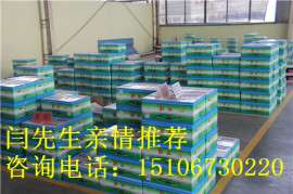 红丹防锈漆品牌有哪些 常州红丹防锈漆最新报价