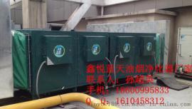 葫芦岛鑫悦蓝天HX-YJ-GD-15A1250*780*1380等离子油烟净化器烧烤99%无烟直排