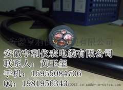亨仪变频电缆ZRC-BPFFP2电气装置