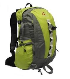 多文D13155双肩登山包