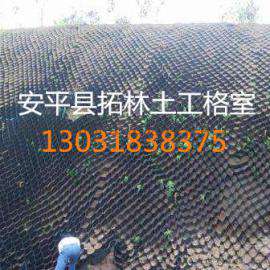 河北厂家供应 蜂窝状立体网格室 塑料土工格室陡坡防护