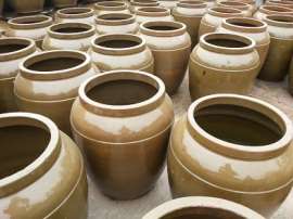 200斤发酵缸|发酵坛
