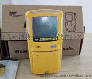 进口加拿大BW GAMAX-XT4泵吸式四合一气体检测仪