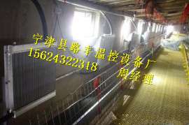 江西路丰养鸡专用温控锅炉长期供应 批发