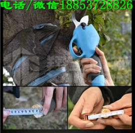 翔工果树电动修枝剪子剪切范围