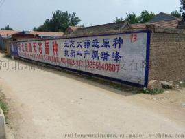 大蒜  干蒜  大蒜种子  瑞峰原种