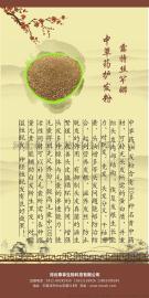 石家庄中草药茶麸洗头养发馆 石家庄中草药茶麸代理加盟连锁