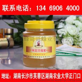 蜜蜂哥哥1500g河北洋槐蜜 清热润肺、调理肠胃蜂蜜佳品  纯天然蜂蜜假一赔十