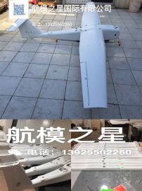 CW-20 垂直起降固定翼