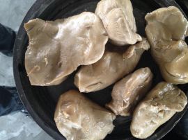 河北供应盐渍白灵菇，数量12吨，处理，二级菇，去年的陈货，颜色暗。