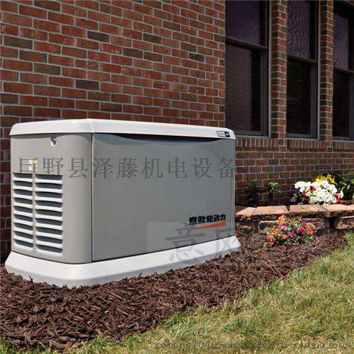 供应50kw水冷发电机/超静音汽油发电机组