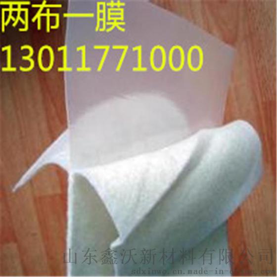 水库清淤防渗水塑料土工膜 土工膜厂家