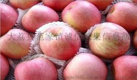 陕西红富士苹果价格大荔红富士苹果