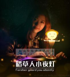 稻草人小夜灯创意触碰新奇特小礼品批发送女友
