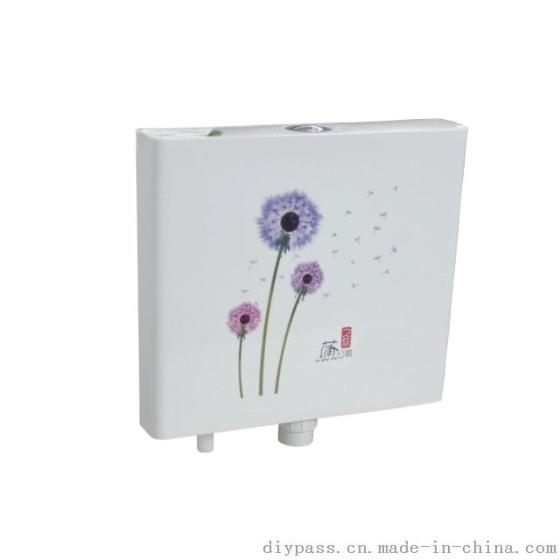 鼎派卫浴DIYPASS BT-5611 陶瓷蹲便器冲水箱