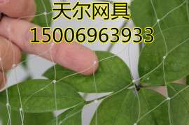 聚乙烯防鸟网哪里好？15006963933热线