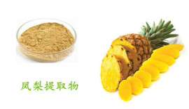 菠萝粉 凤梨粉 100%速溶菠萝果粉 食品饮料添加