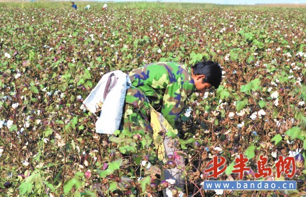 这件外套标价1580元，今年各商场销售的外套，千元以上的很常见。