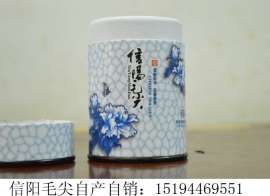 2016信阳毛尖新茶