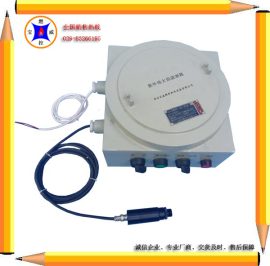 火焰监测器|防爆型火焰监测器防爆等级CT4