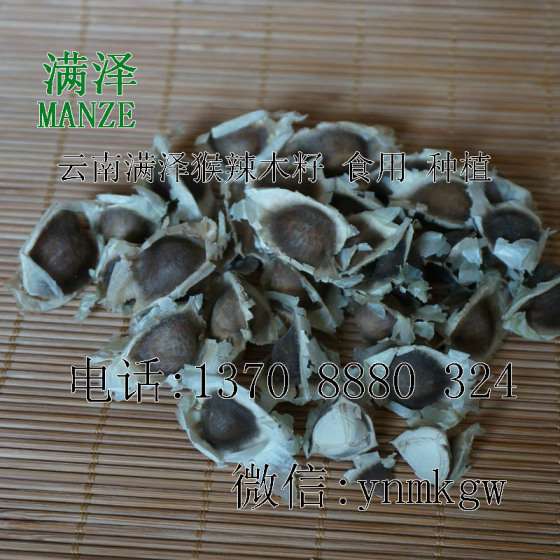 云南满泽辣木籽官网，印度辣木籽官网，云南辣木籽产品官网