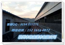 面向全国供应优质牛场卷帘布保温猪场卷帘布防寒卷帘篷布