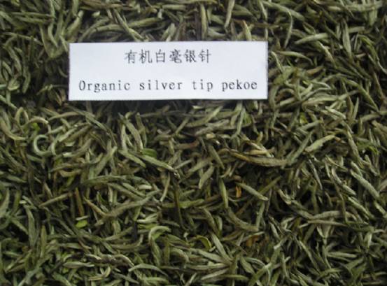 有机白毫银针