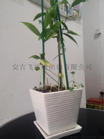 FD-1611234工厂大量供应各种规格尺寸的染色竹签