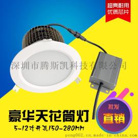 大功率应急照明天花灯60瓦10寸天花灯