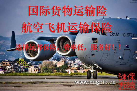 国际货物运输险 航空飞机运输 国际航空运输保险 国际货运险