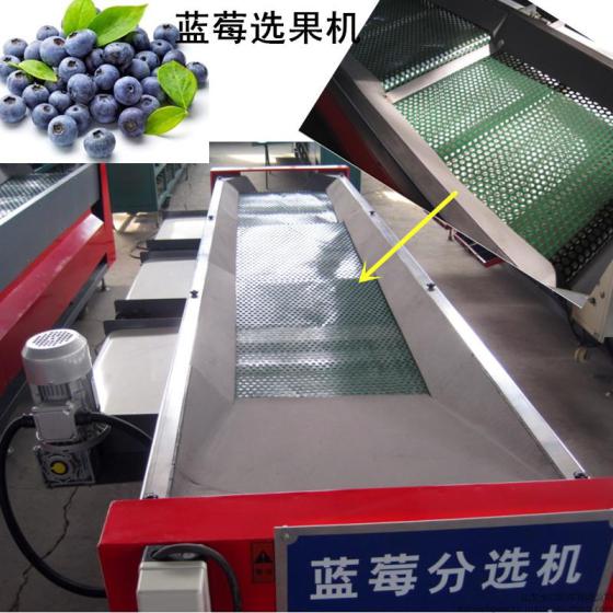 新型四季蓝莓专用选果机