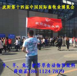 夏热牛瘦吃的少卖不上价肥牛饲料