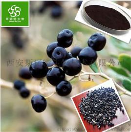 黑枸杞提取物 黑枸杞花青素 斯诺特生物 送样品