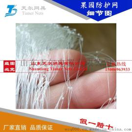 找防鸟网选天尔规格最全价格最低质量最好的果园防鸟网