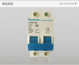 冠泰GTB1-63(DZ47-63)2P 1-63A