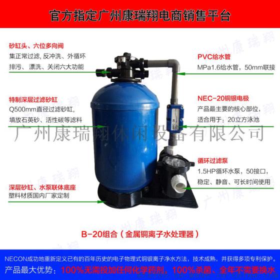 B-20铜银离子水处理器－铜银离子发生器－游泳池杀菌设备－泳池消毒设备