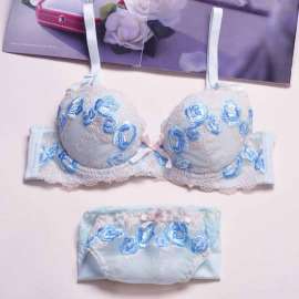 文胸套装（5）