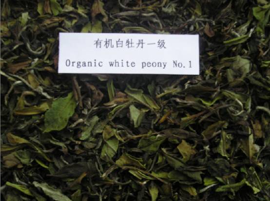 有机一级白牡丹