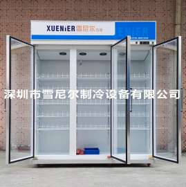 雪尼尔饮料冷藏柜 深圳商场超市饮料展示销售冷柜 LC-1860F